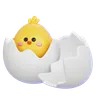 Hatching Chicken Egg