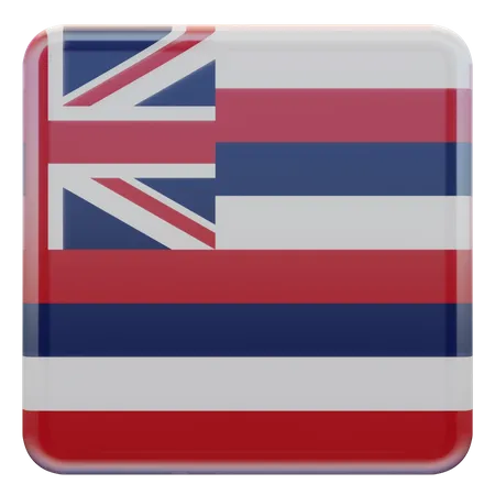 Hawaii Flag  3D Flag