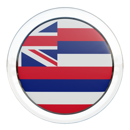 Hawaii Round Flag  3D Icon