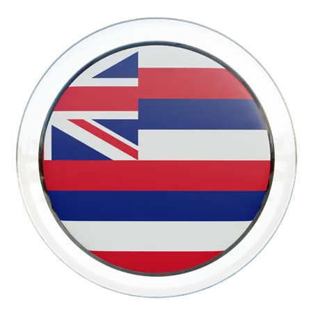 Hawaii Round Flag  3D Icon