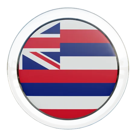 Hawaii-Flagge, rund  3D Icon