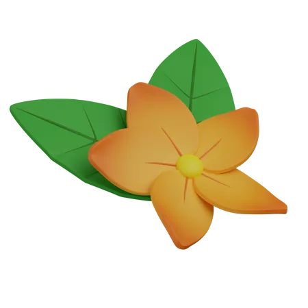 Hawaiian Flower With Leaves 3D Icon