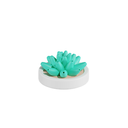 Haworthia Cactus Plant  3D Icon