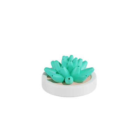 Haworthia Cactus Plant  3D Icon