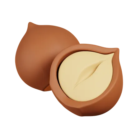 Hazelnut  3D Icon