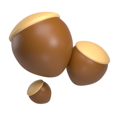 Hazelnut  3D Icon