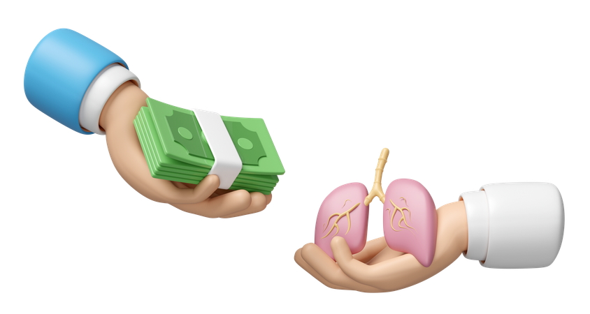 Health Check Cost  3D Icon