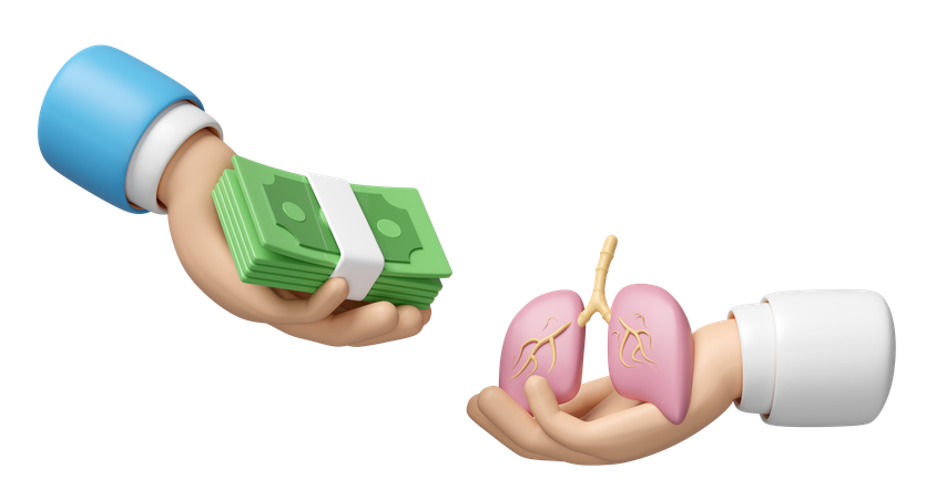 Health Check Cost  3D Icon