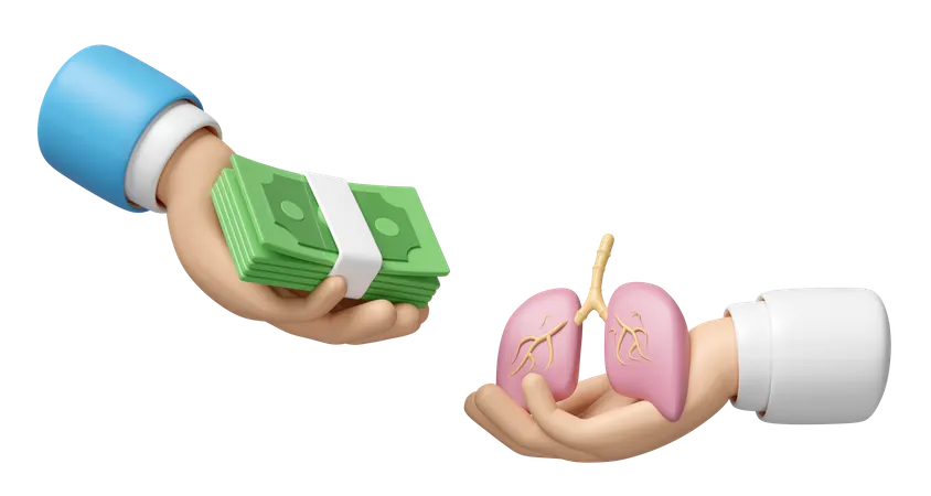 Health Check Cost  3D Icon