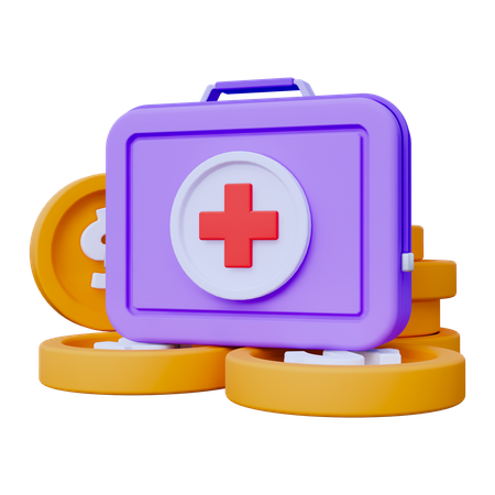 Health Insurance Fund  3D Icon