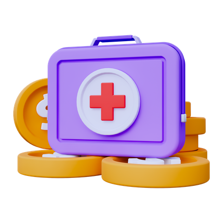 Health Insurance Fund  3D Icon