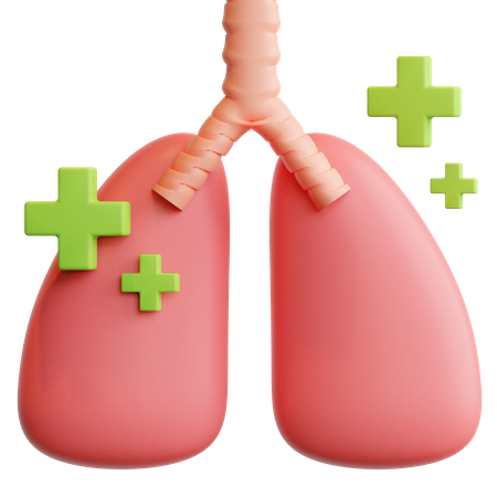 Healthy Lungs  3D Illustration