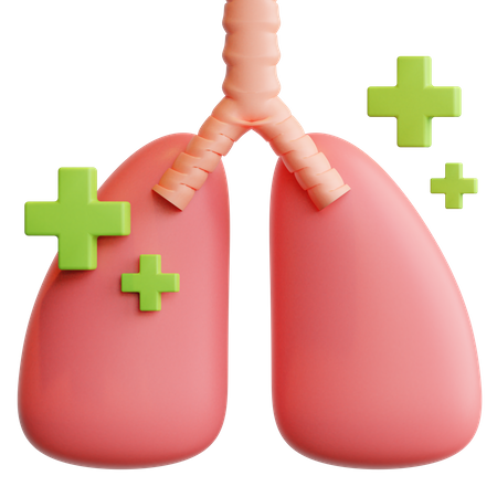 Healthy Lungs 3D Illustration