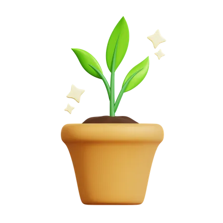 Healthy Plant  3D Icon