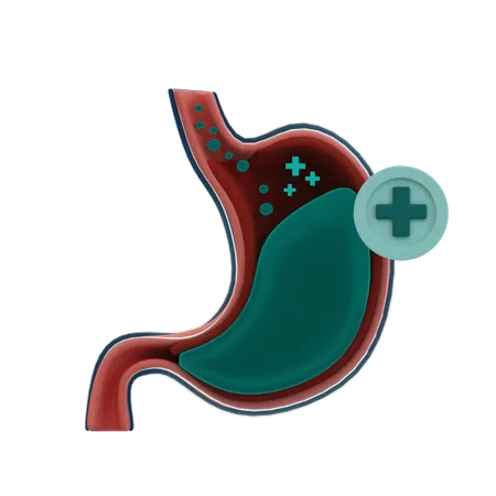 Healthy stomache  3D Icon