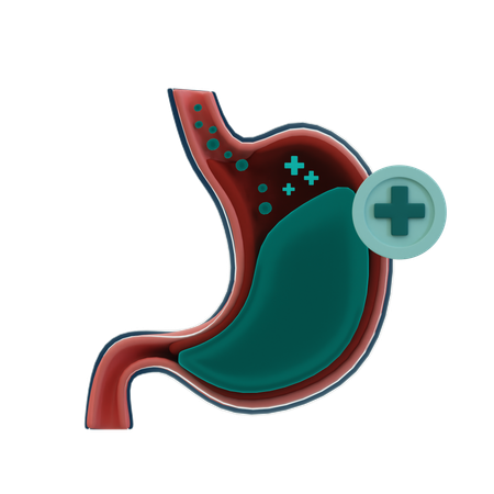 Healthy stomache  3D Icon