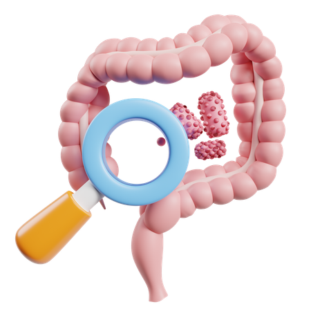 Healty Gut  3D Icon