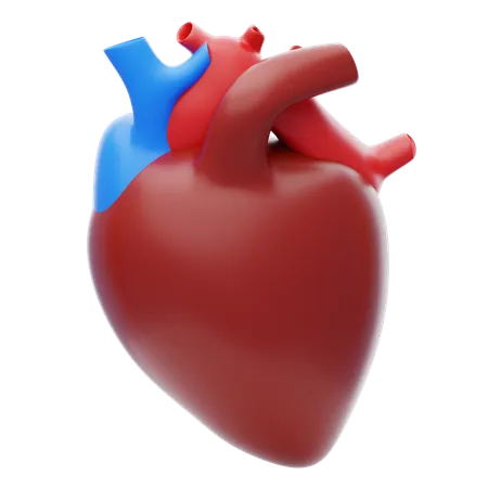 Heart 3 D Icon Human Heart 3 D Illustration 3D Icon