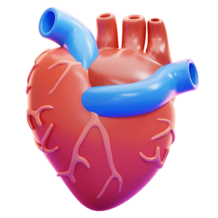 HEART  3D Icon