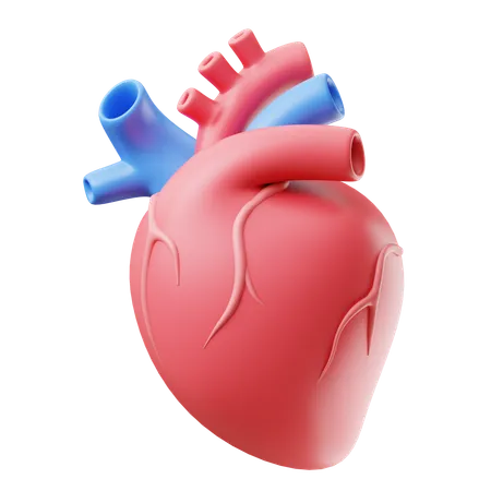 Heart 3 D Illustration 3D Icon