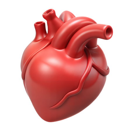 心臓  3D Icon