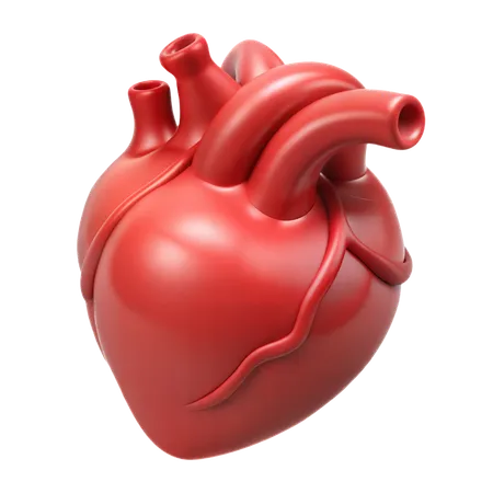 心臓  3D Icon