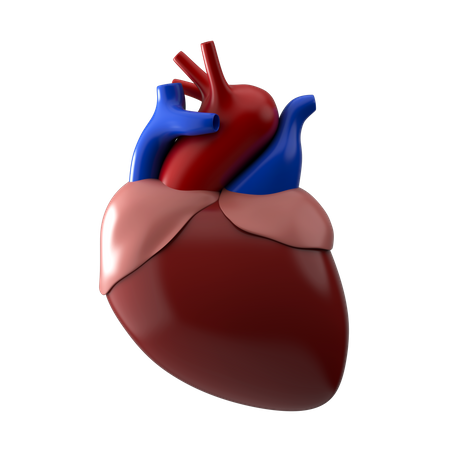 Heart  3D Icon