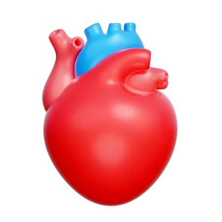 Heart  3D Icon