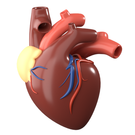 Heart  3D Icon