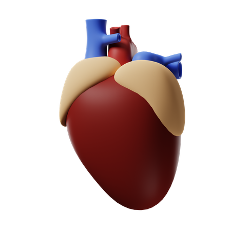 Heart  3D Icon