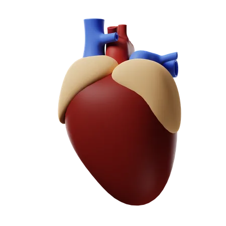 Heart  3D Icon