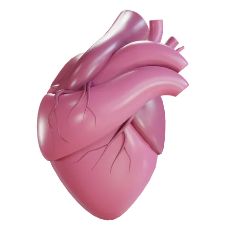 Heart  3D Icon