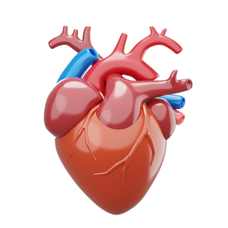 Heart  3D Icon