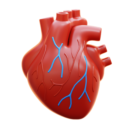 Heart  3D Icon