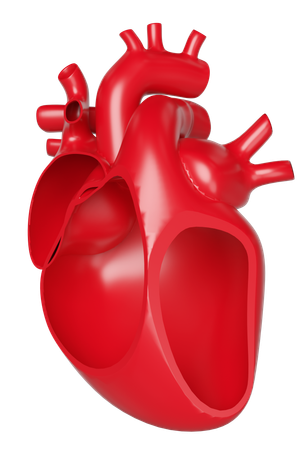 Heart  3D Icon