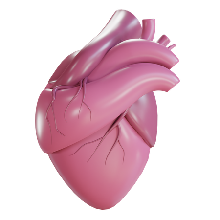 Heart  3D Icon