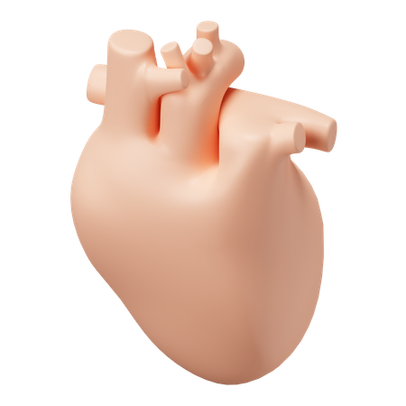 Heart  3D Illustration