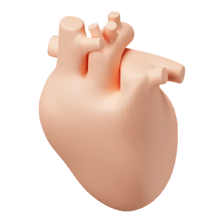 Heart  3D Illustration