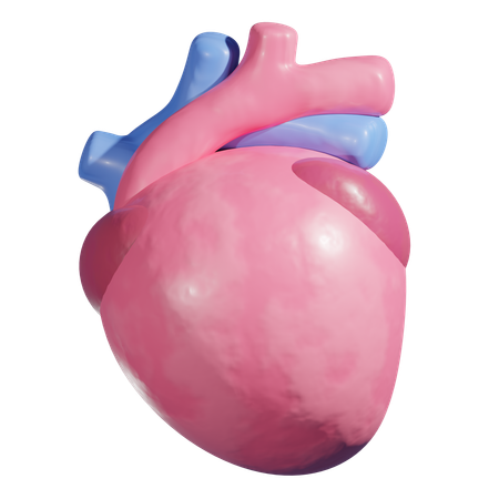 Heart Disease  3D Icon