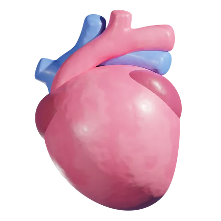 Heart Medical 3 D Icon 3D Icon