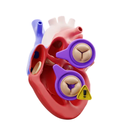 Heart Disease  3D Icon