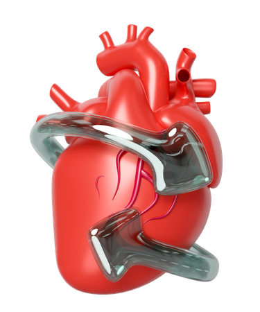Heart Disease Prevention  3D Icon