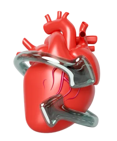 Heart Disease Prevention  3D Icon