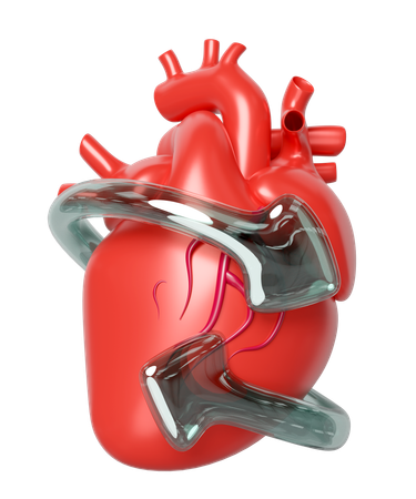Heart Disease Prevention  3D Icon