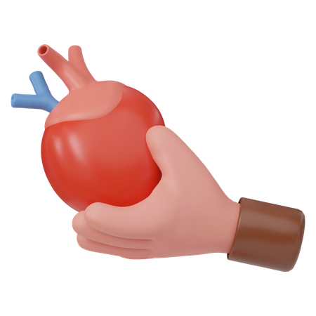 심장 기증  3D Icon