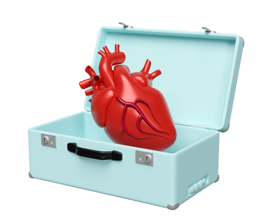 Heart In Bag  3D Icon