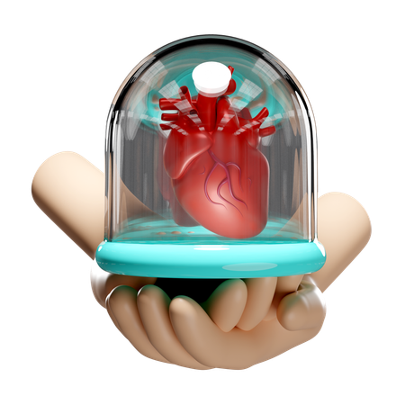 Heart In Dome  3D Icon