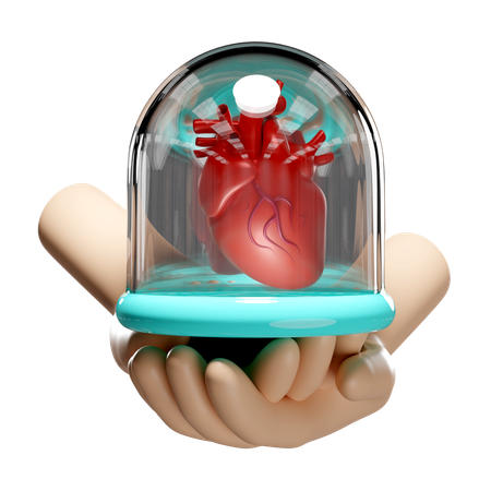 Heart In Dome  3D Icon