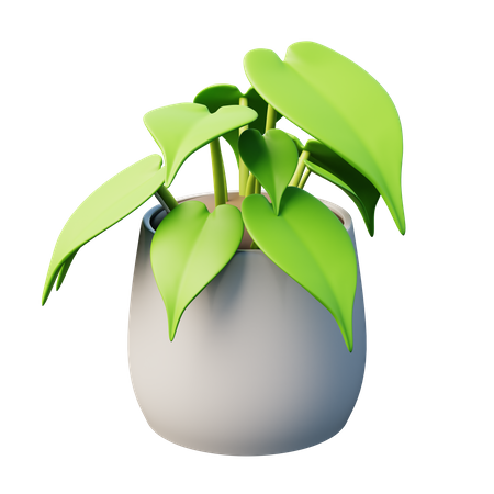 Heart-Leaf Philodendron Plant  3D Icon