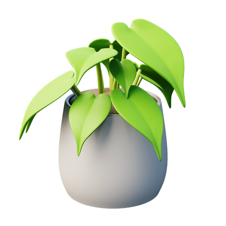 Heart-Leaf Philodendron Plant  3D Icon